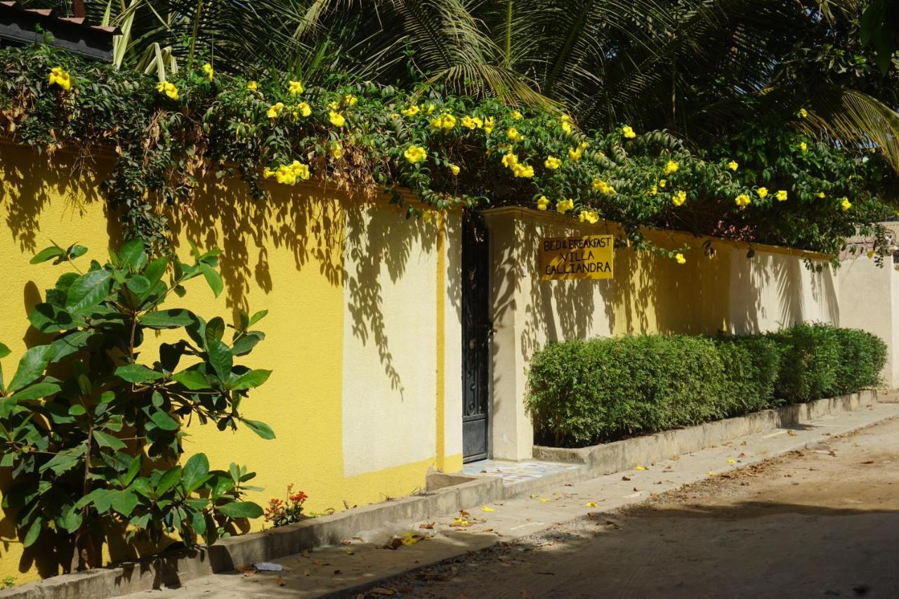Bijilo B & B Villa Calliandra מראה חיצוני תמונה