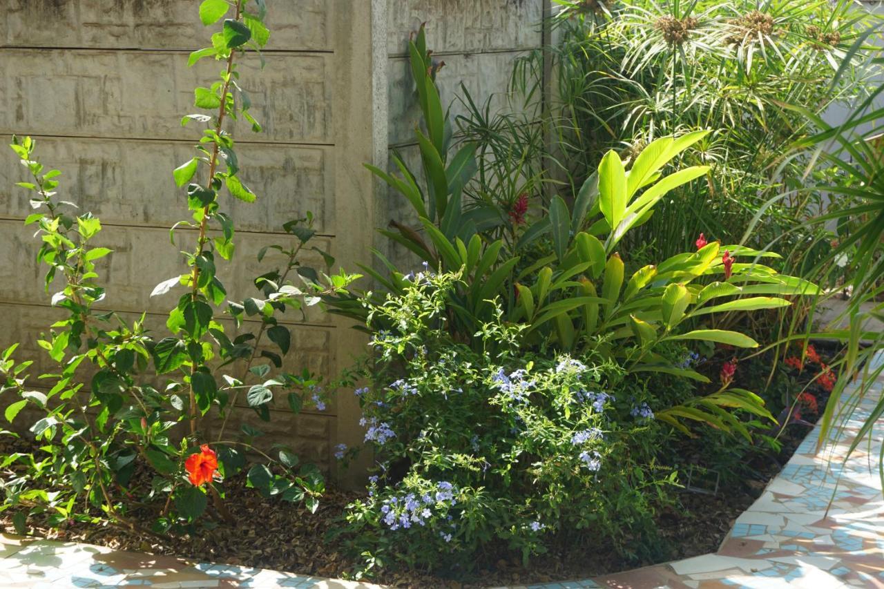 Bijilo B & B Villa Calliandra מראה חיצוני תמונה